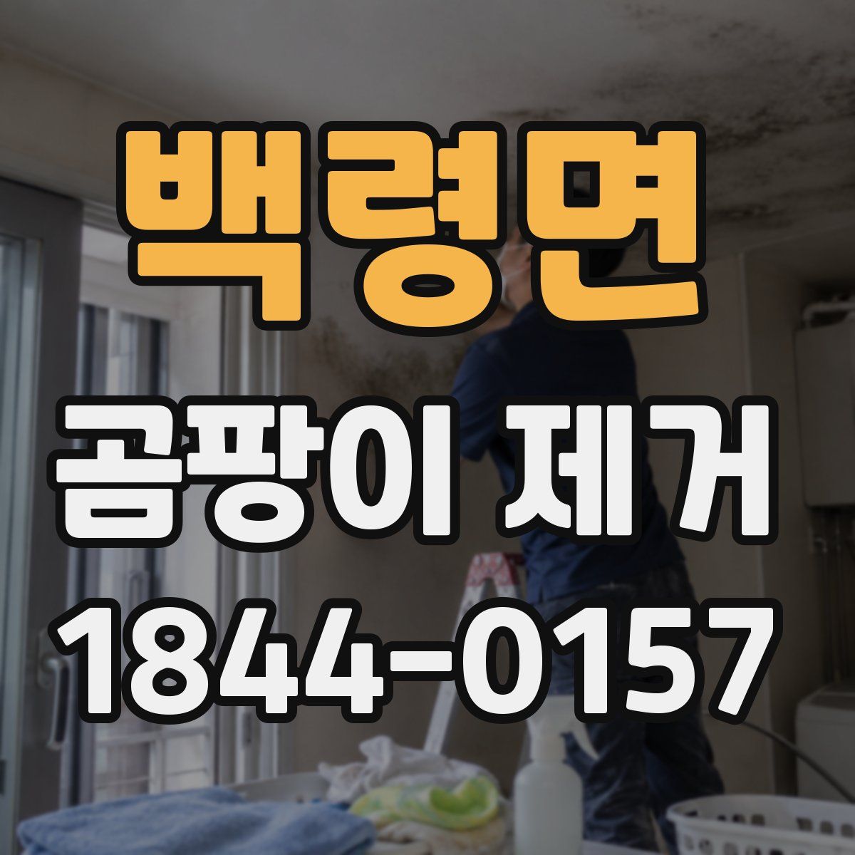 백령면 곰팡이 제거