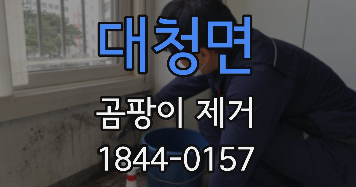 대청면 곰팡이 제거