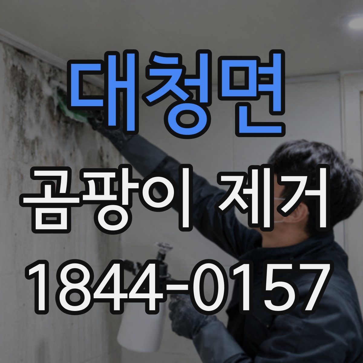 대청면 곰팡이 제거