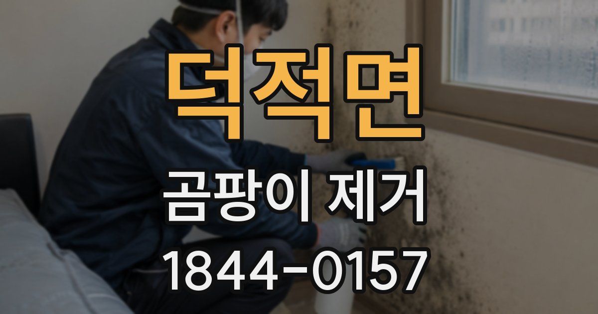 덕적면 곰팡이 제거