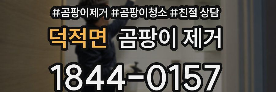 덕적면 곰팡이 제거