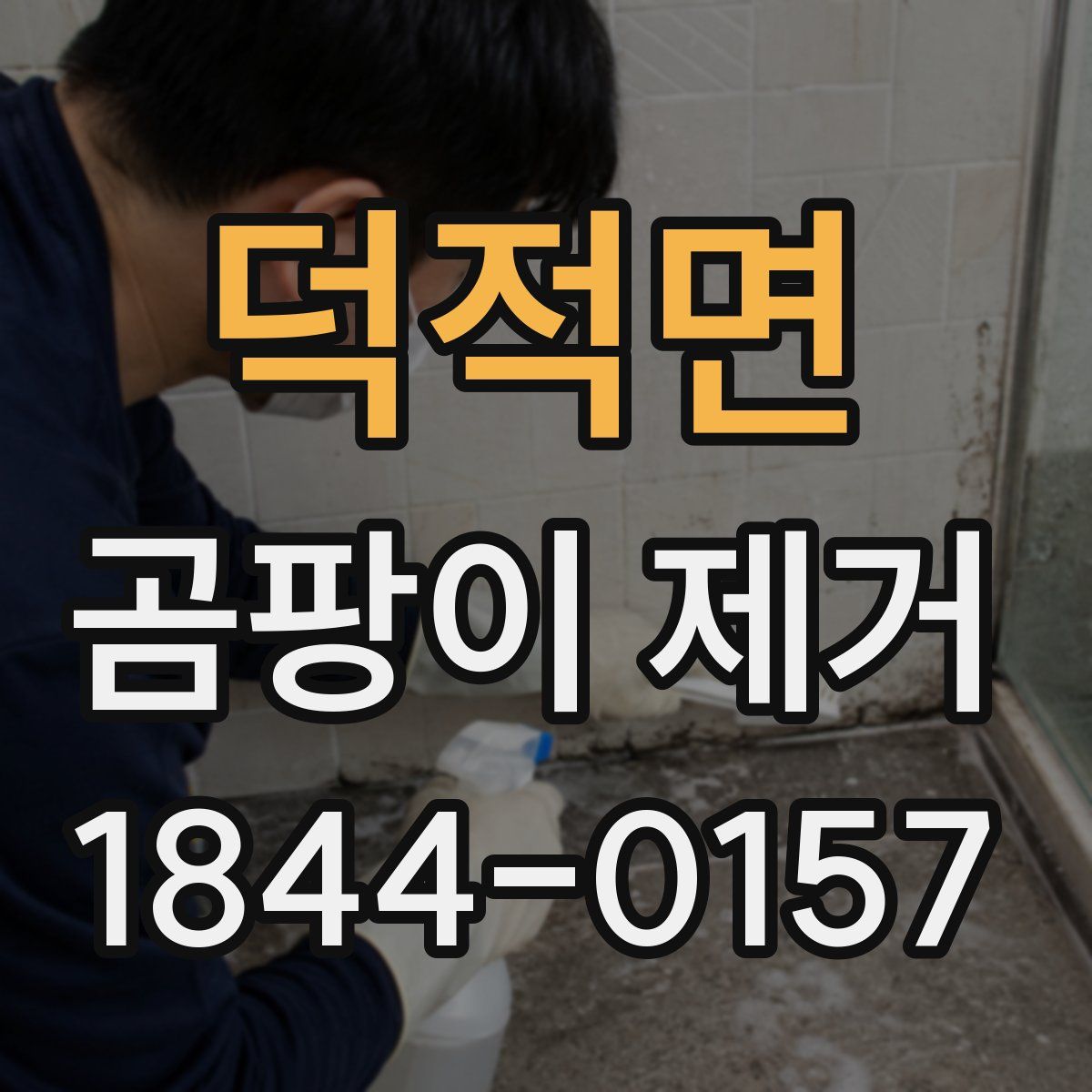 덕적면 곰팡이 제거