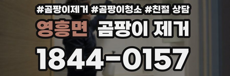 영흥면 곰팡이 제거