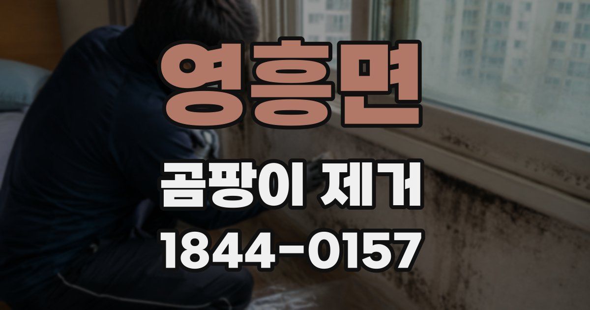 영흥면 곰팡이 제거