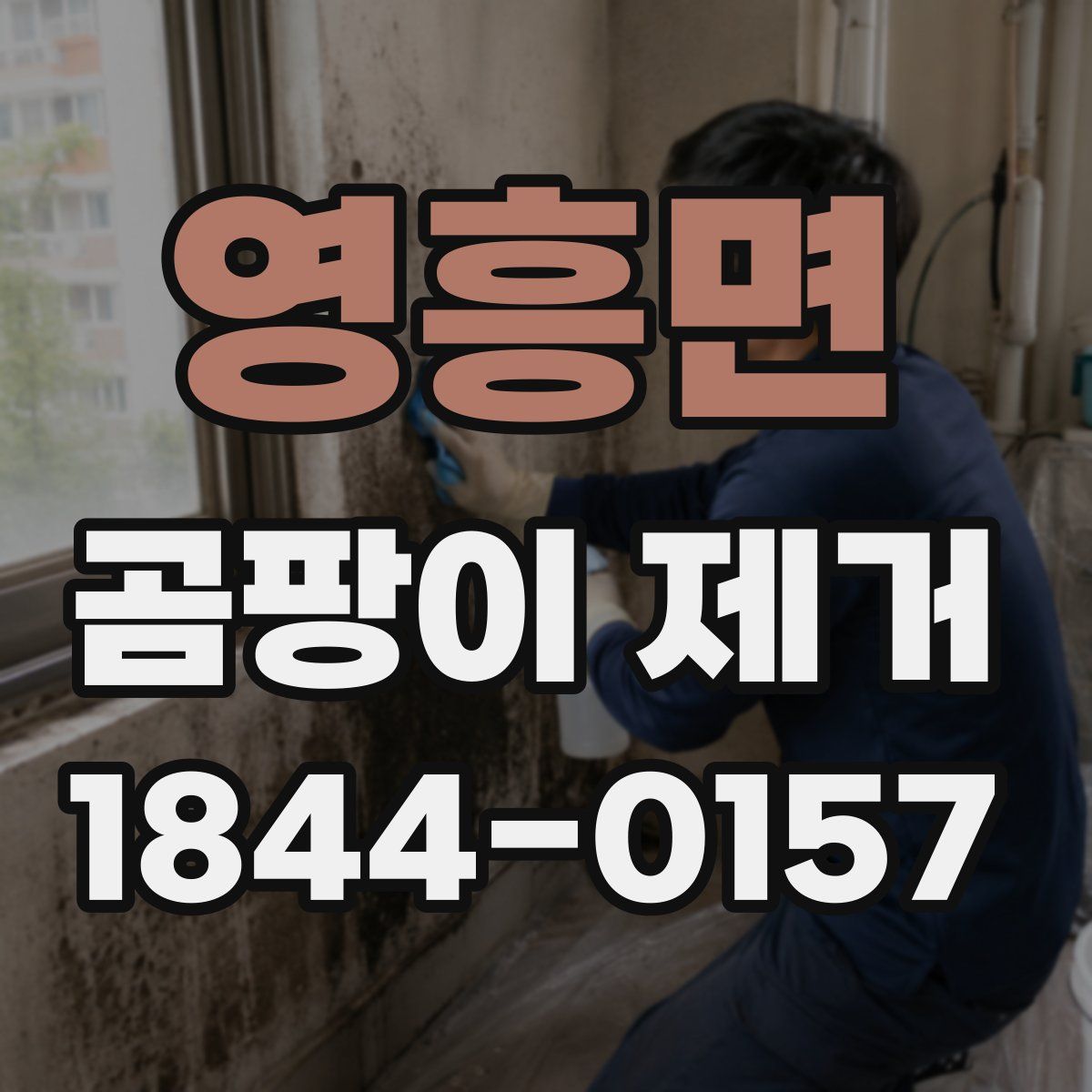 영흥면 곰팡이 제거