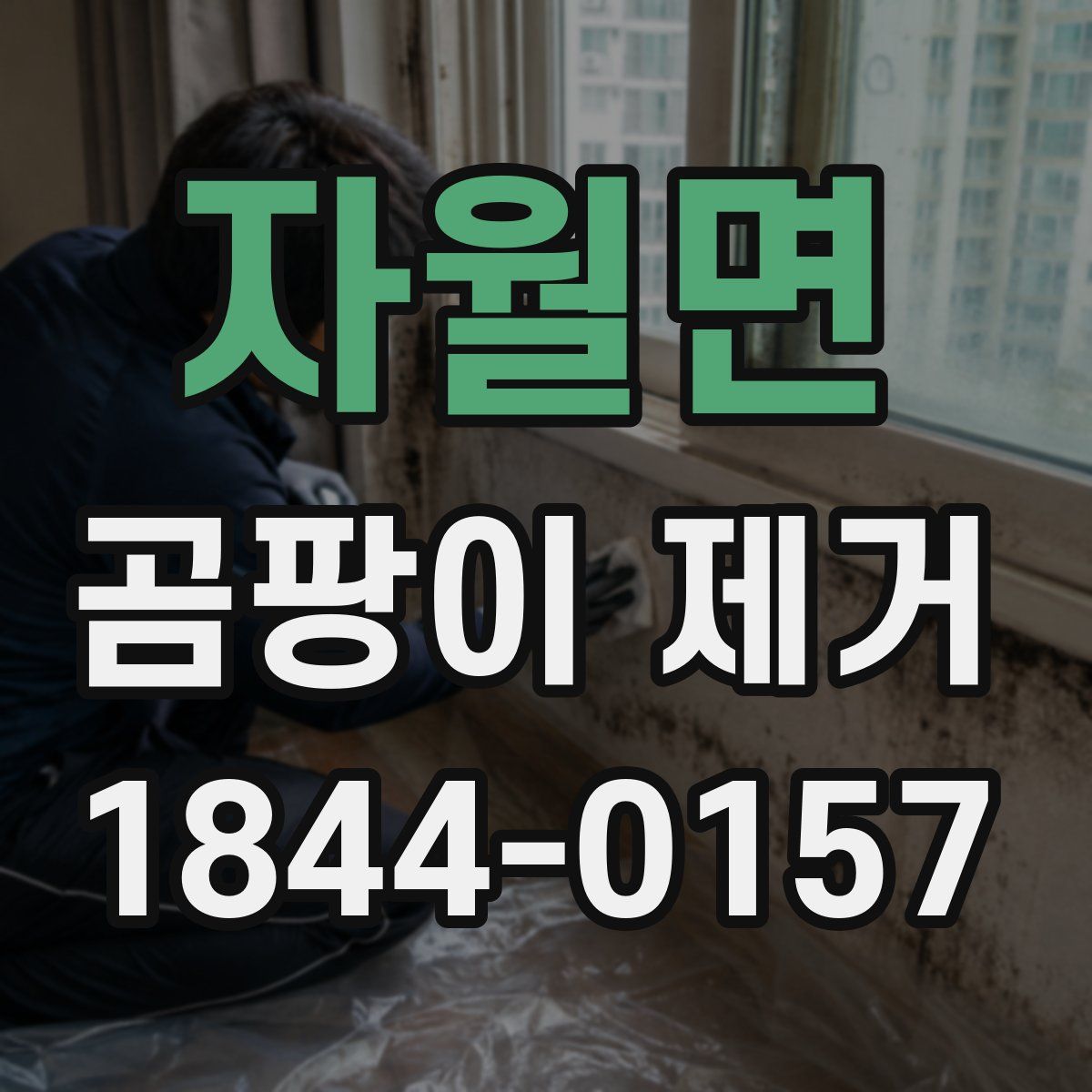 자월면 곰팡이 제거