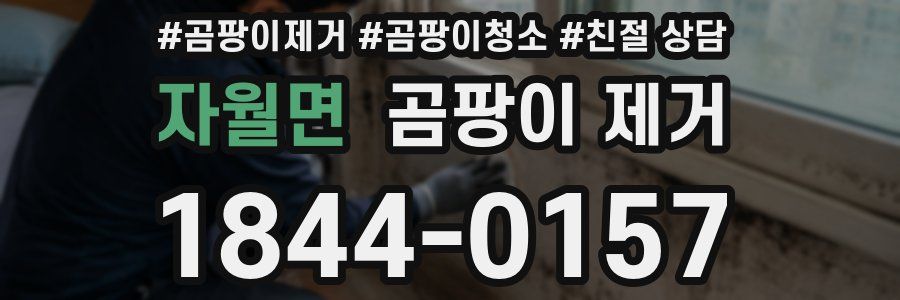 자월면 곰팡이 제거
