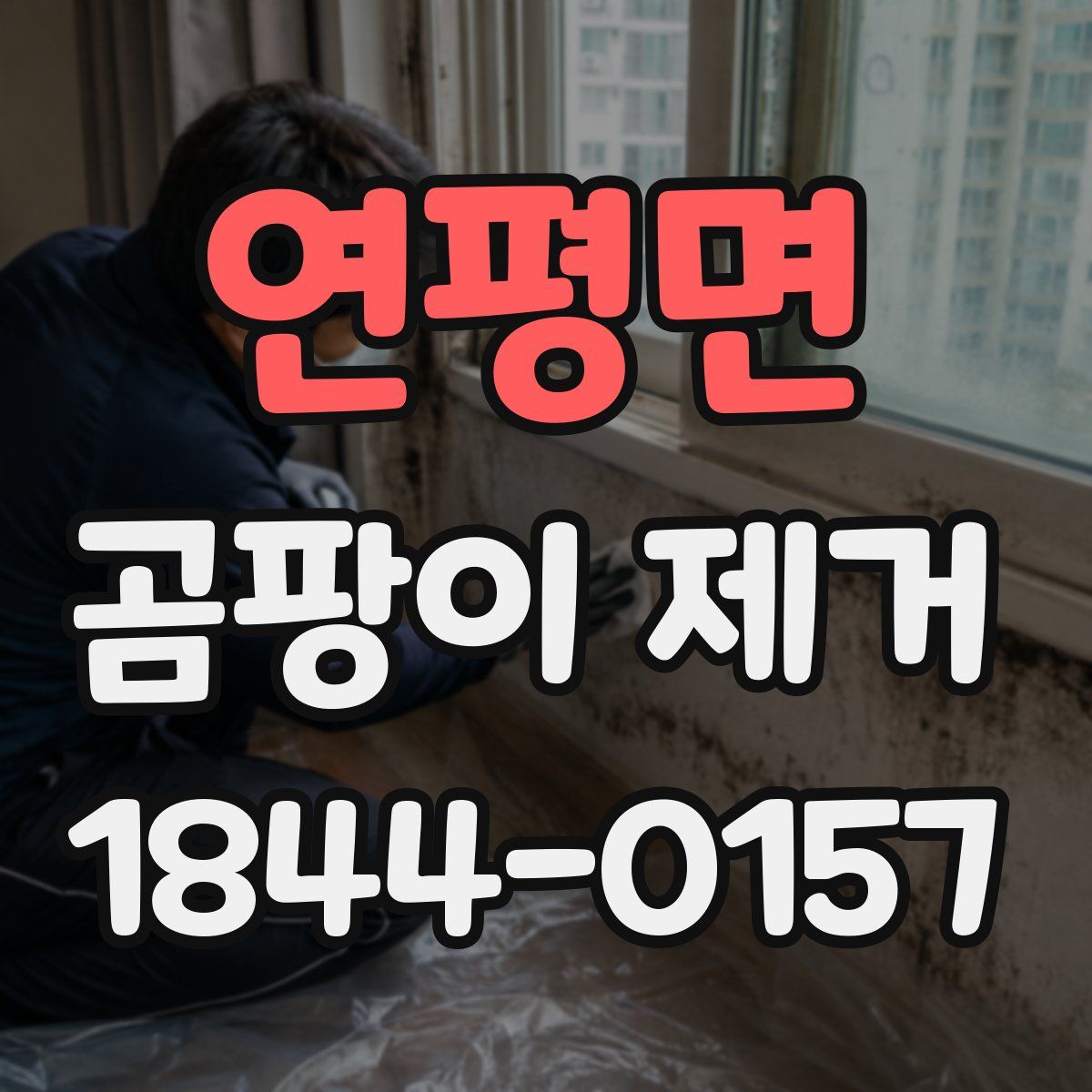 연평면 곰팡이 제거