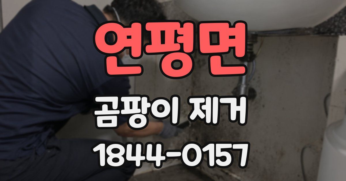 연평면 곰팡이 제거