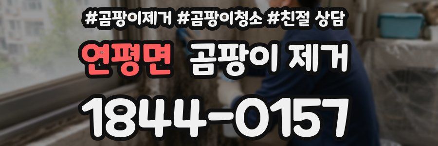 연평면 곰팡이 제거