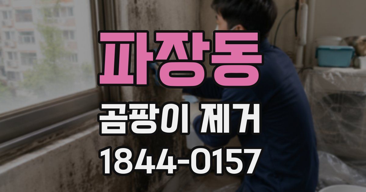 파장동 곰팡이 제거
