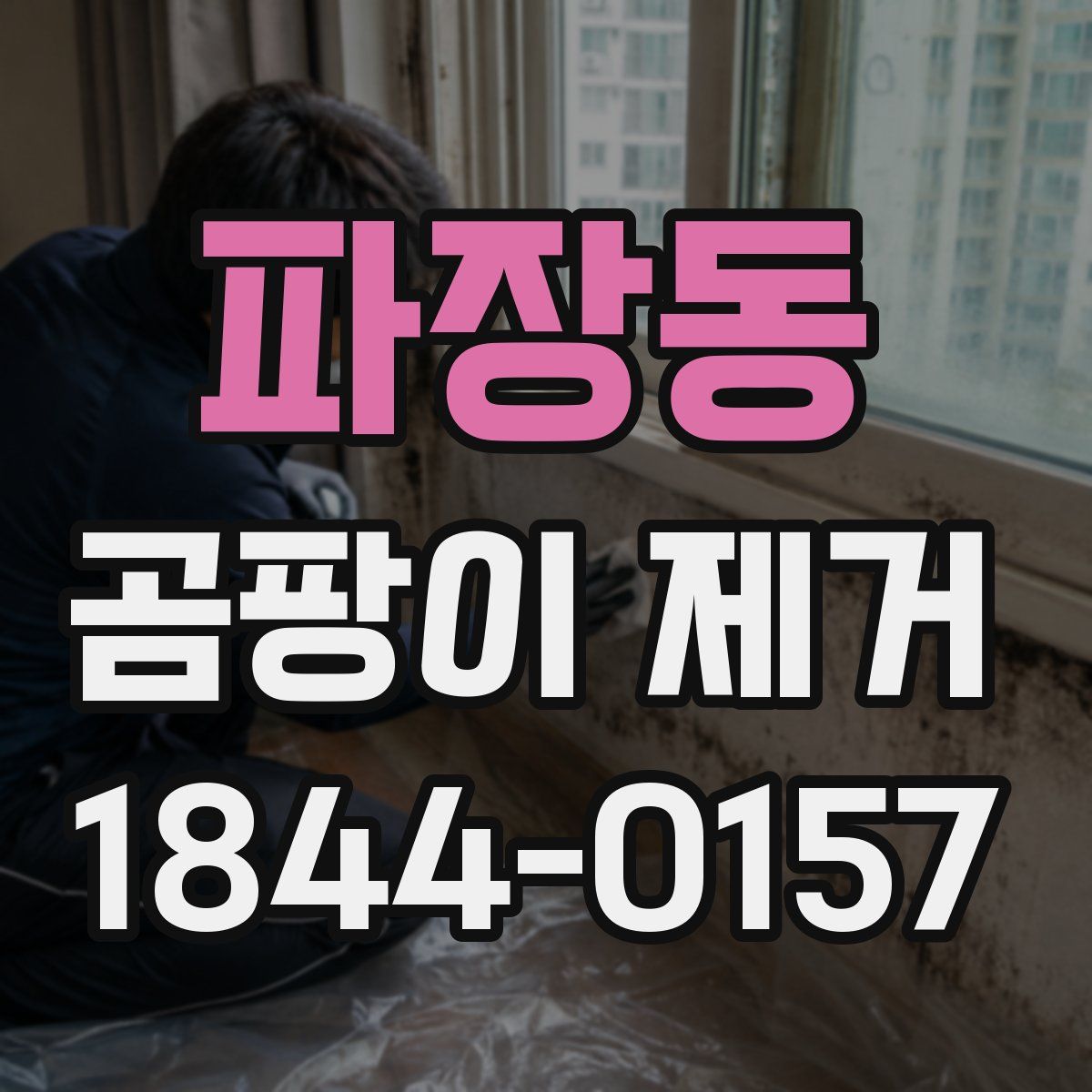 파장동 곰팡이 제거