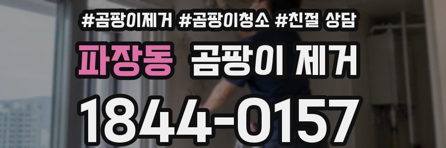 파장동 곰팡이 제거