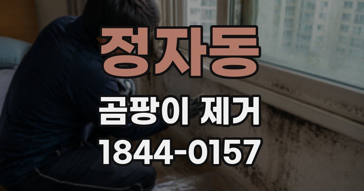 정자동 곰팡이 제거