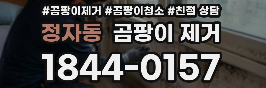 정자동 곰팡이 제거