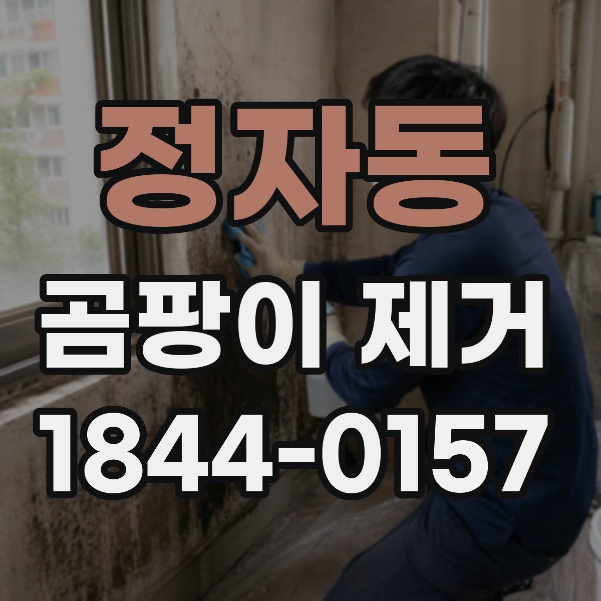 정자동 곰팡이 제거