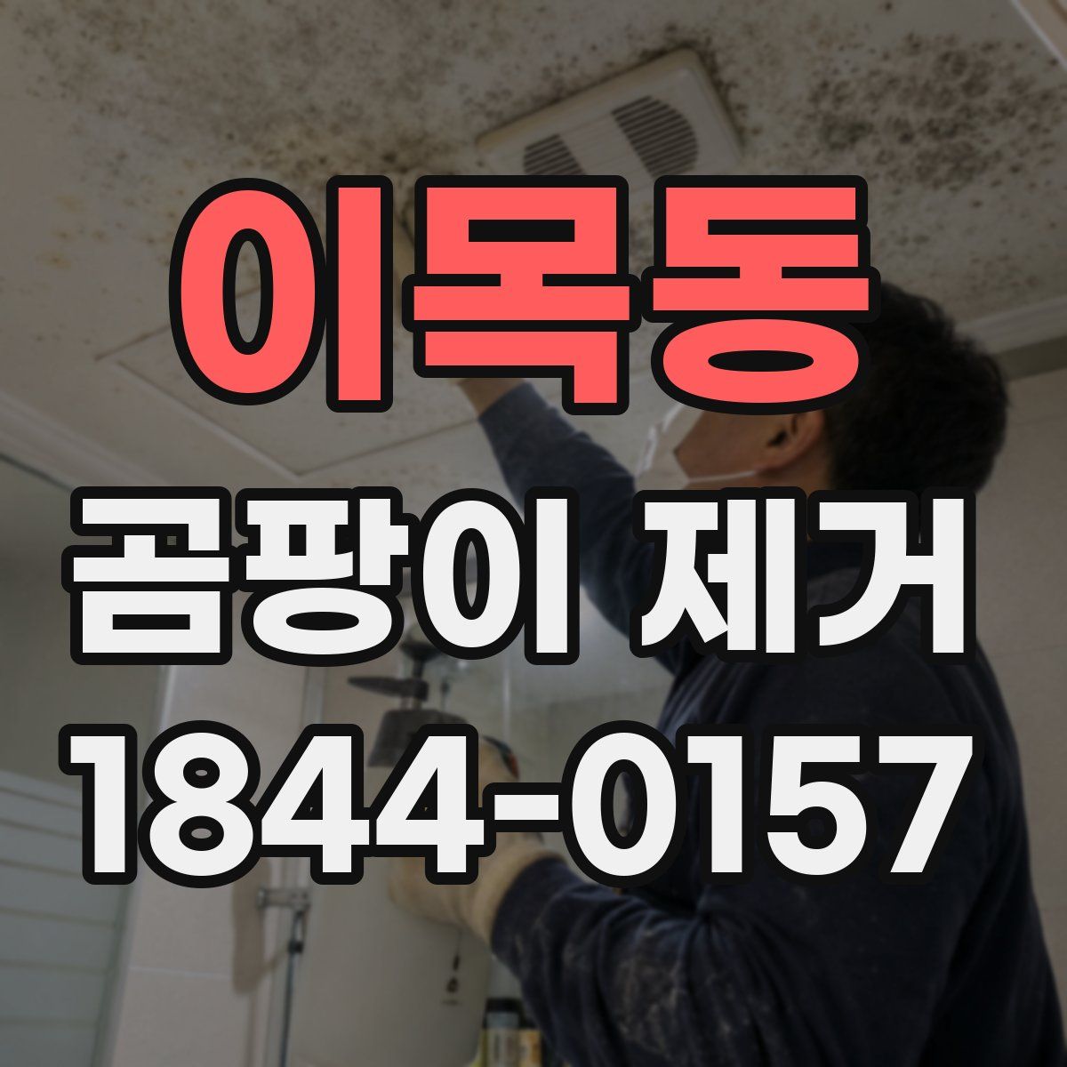이목동 곰팡이 제거