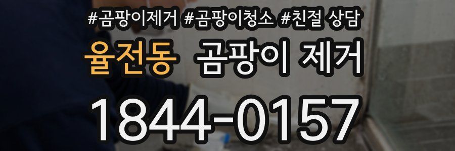 율전동 곰팡이 제거