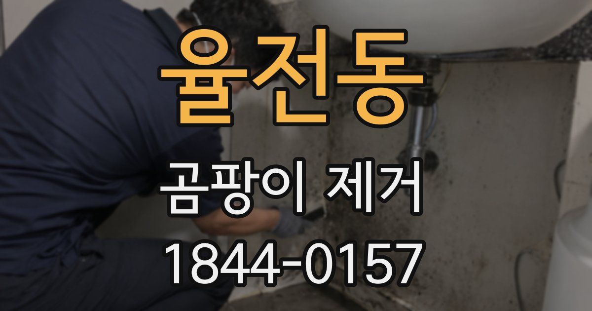 율전동 곰팡이 제거