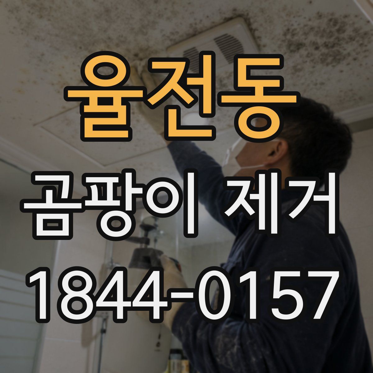 율전동 곰팡이 제거