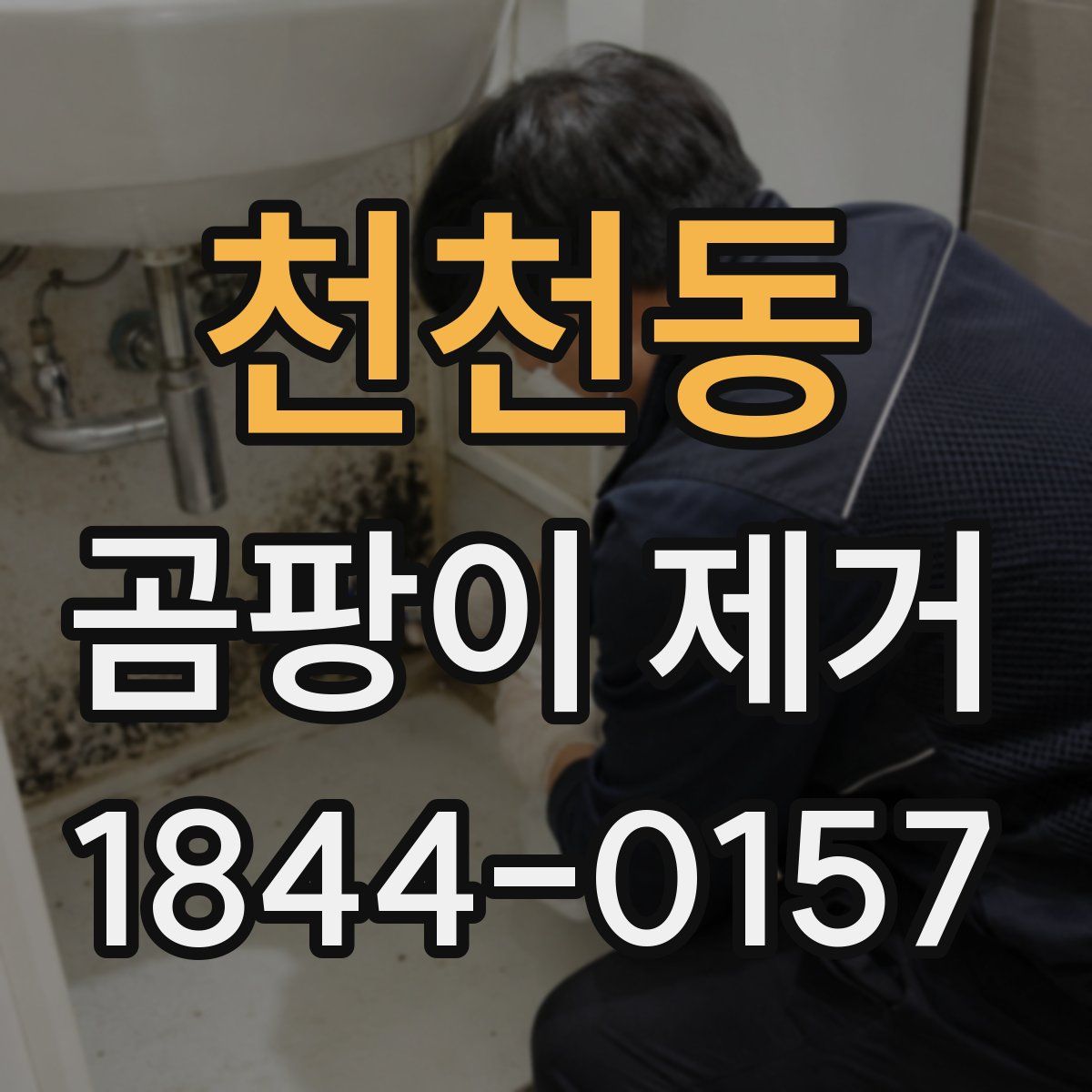 천천동 곰팡이 제거