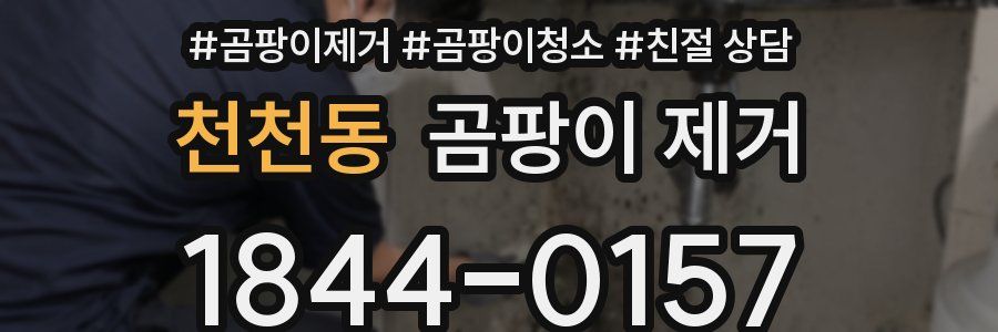 천천동 곰팡이 제거