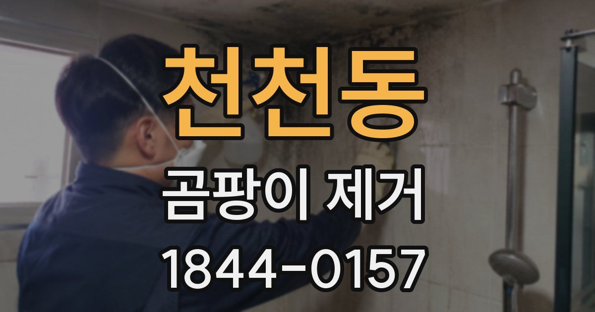 천천동 곰팡이 제거