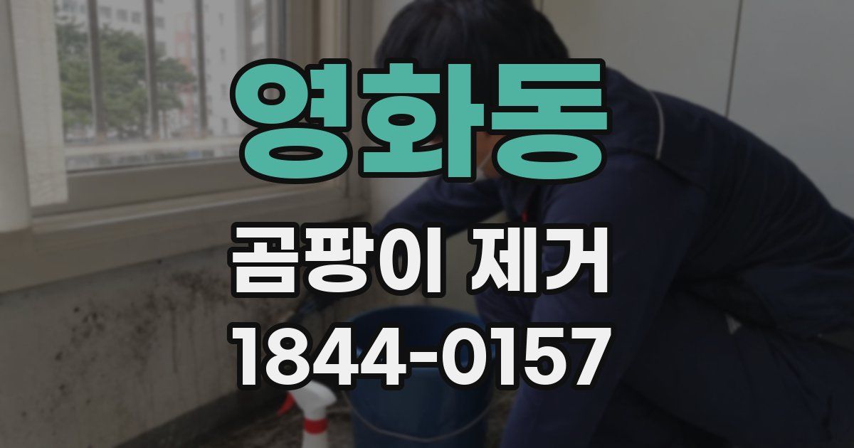 영화동 곰팡이 제거