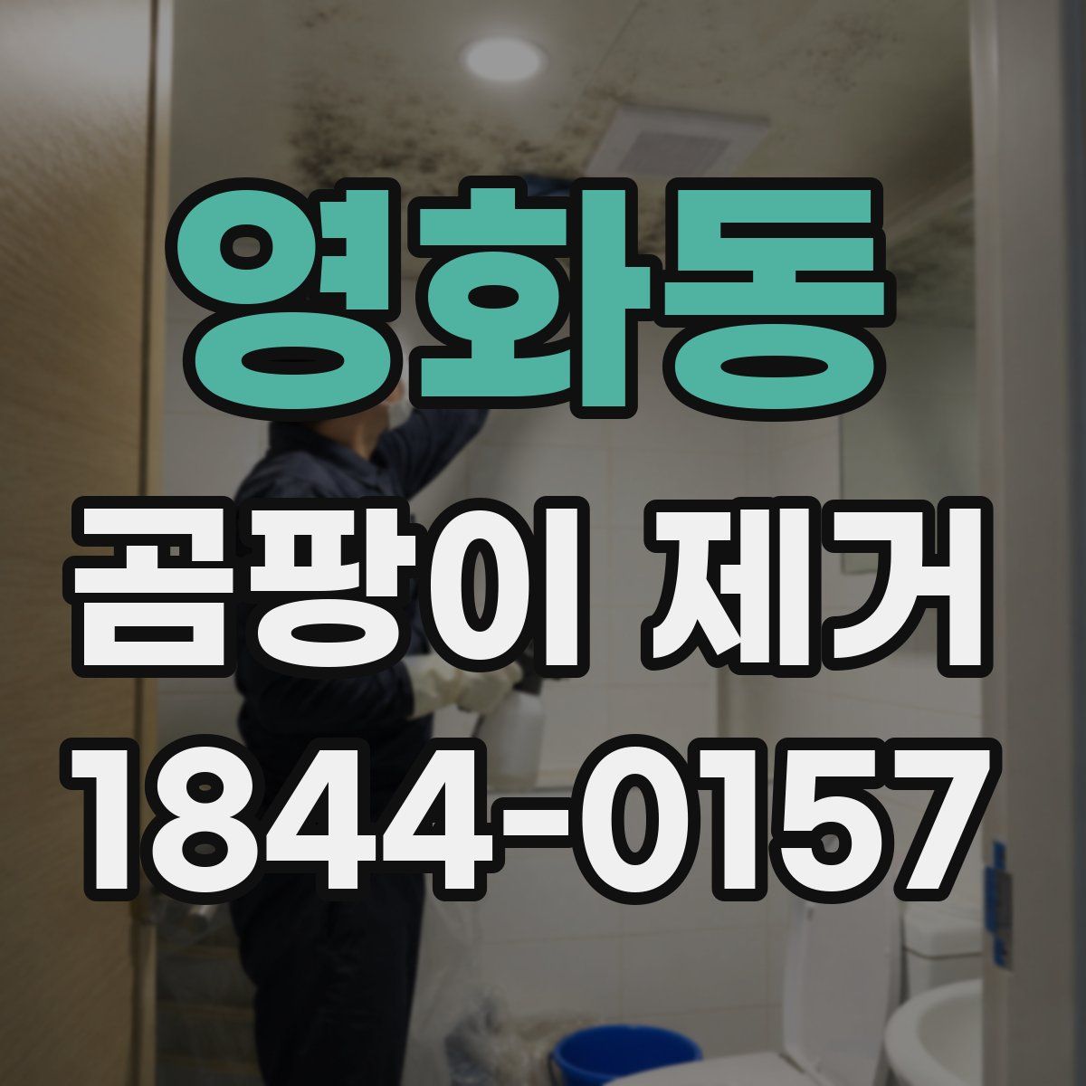 영화동 곰팡이 제거