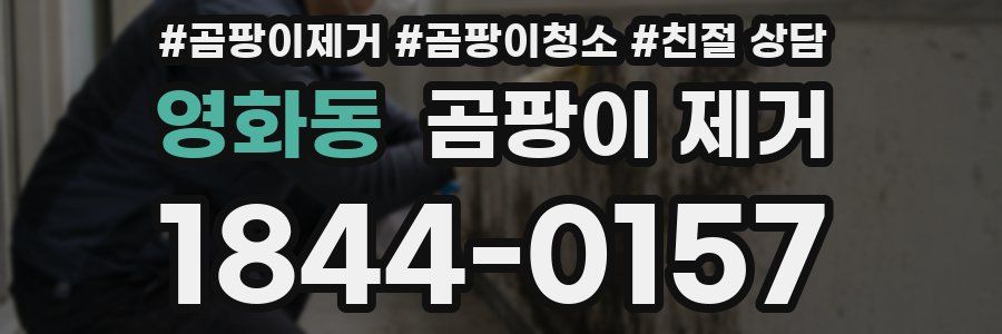 영화동 곰팡이 제거