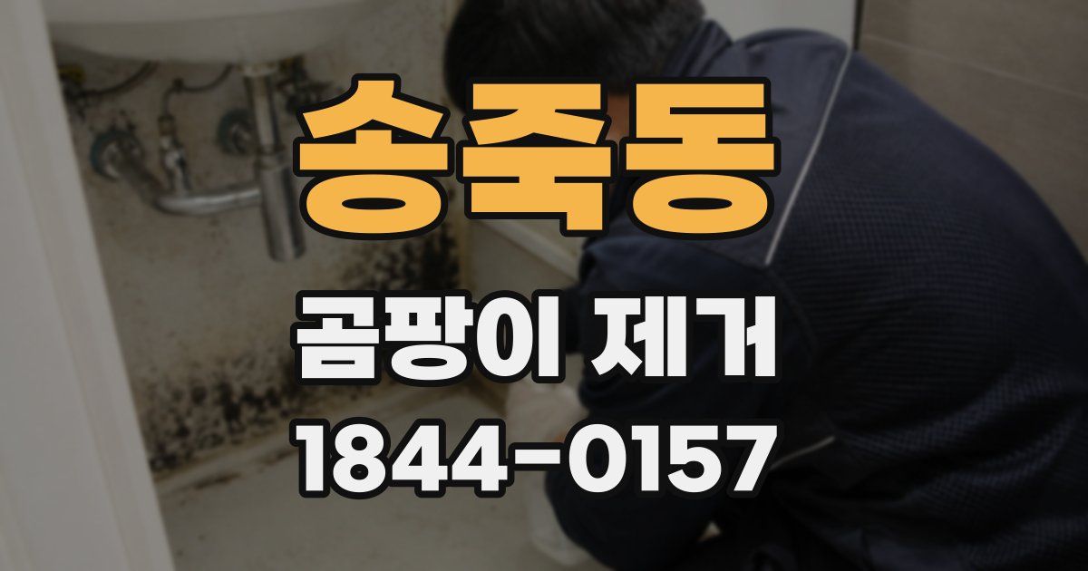 송죽동 곰팡이 제거