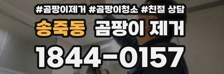 송죽동 곰팡이 제거