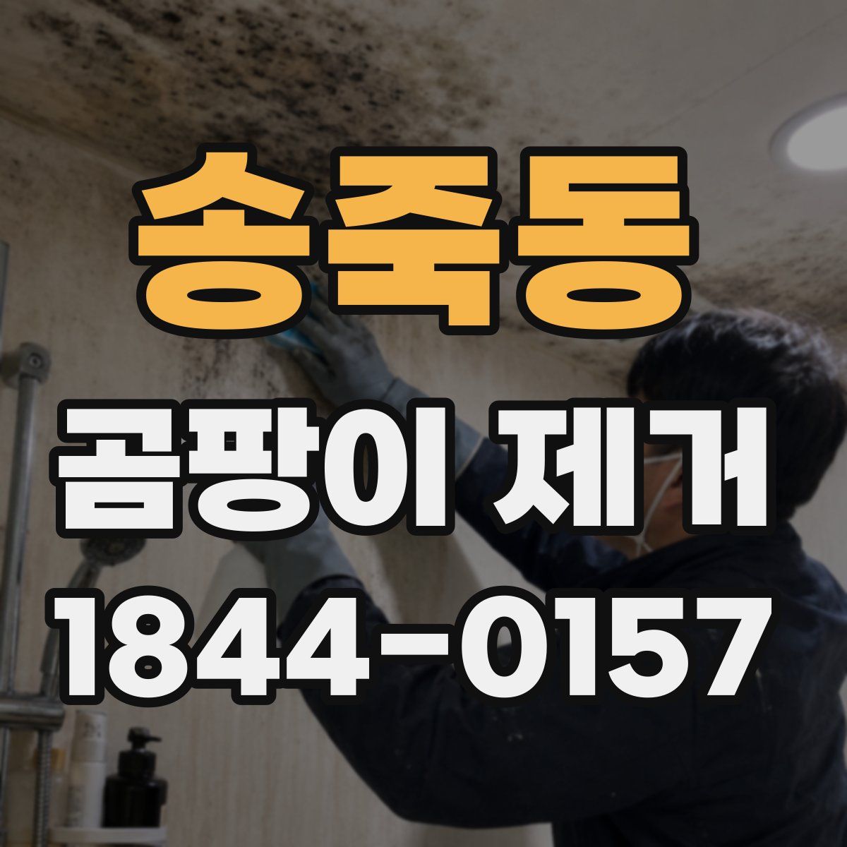 송죽동 곰팡이 제거