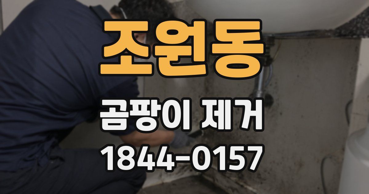 조원동 곰팡이 제거