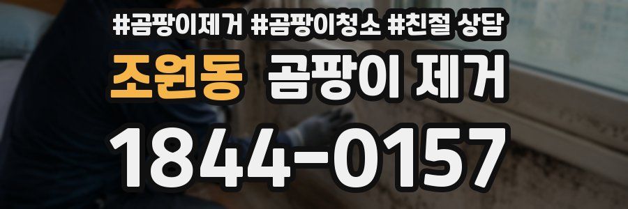 조원동 곰팡이 제거