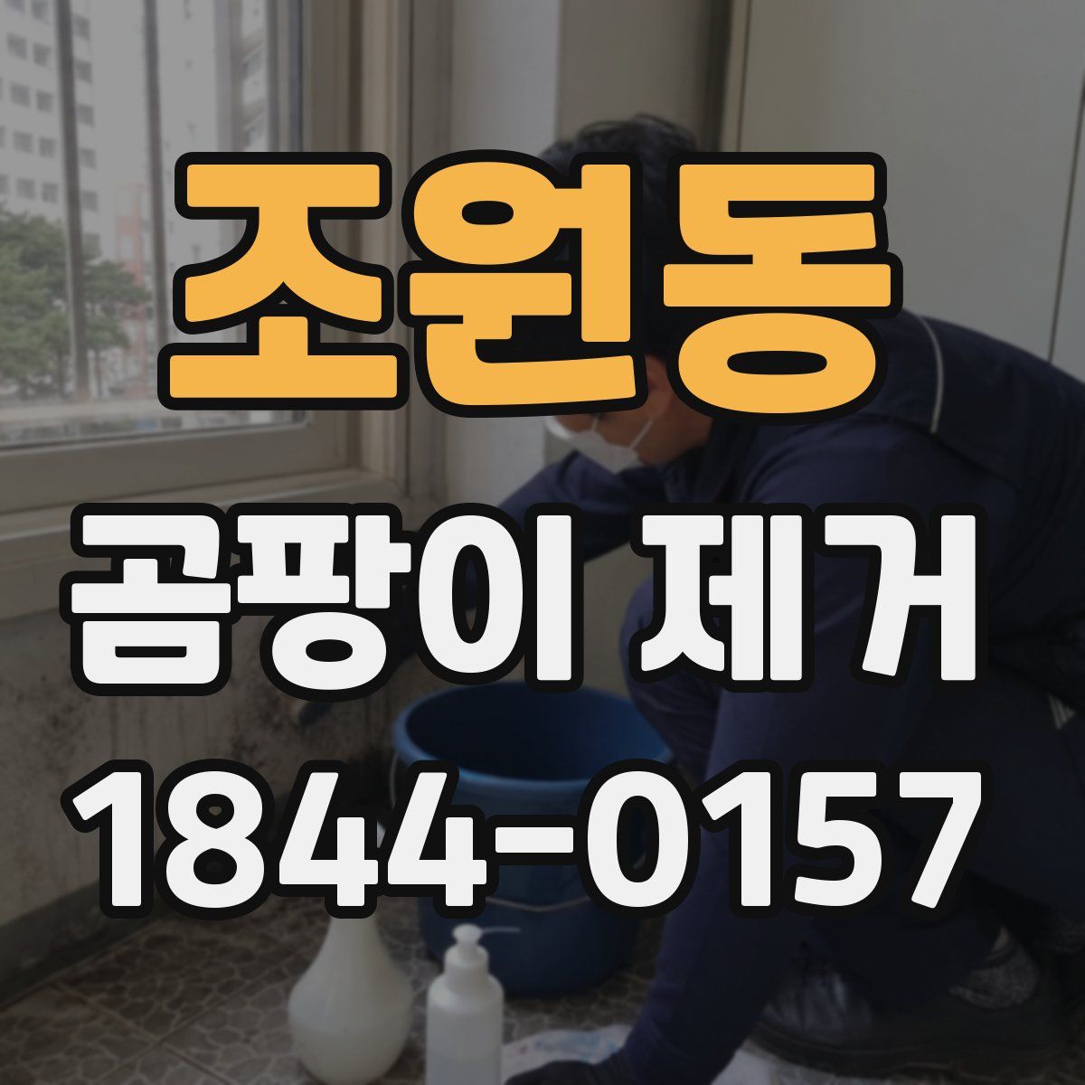 조원동 곰팡이 제거