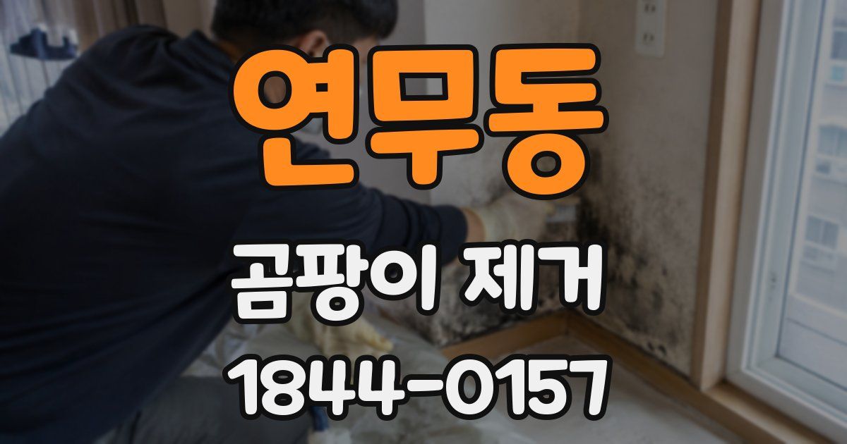 연무동 곰팡이 제거