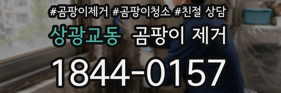 상광교동 곰팡이 제거