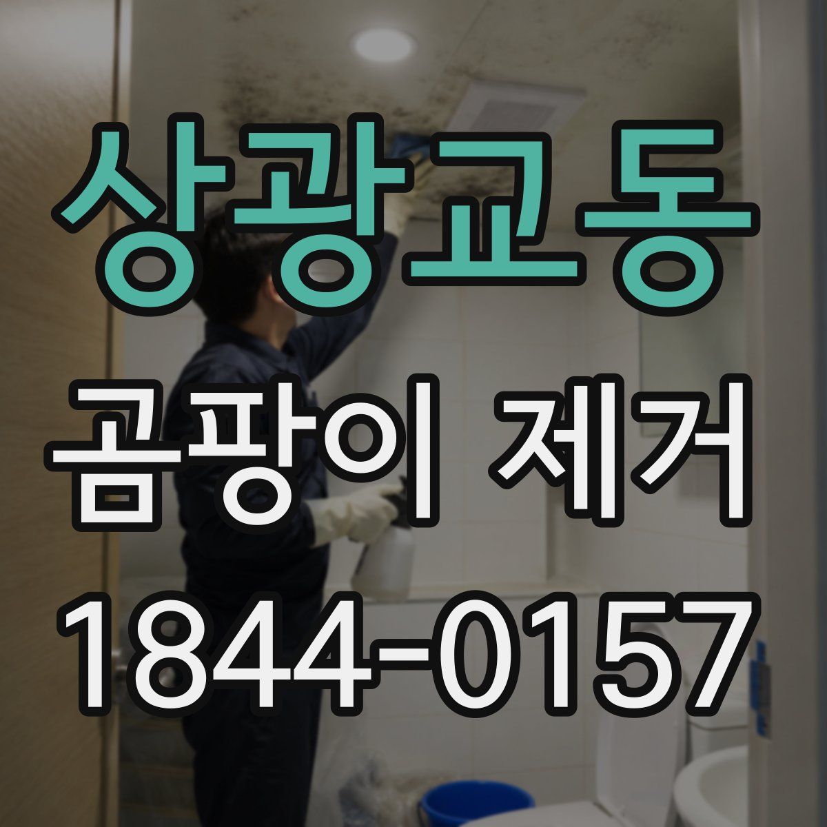 상광교동 곰팡이 제거