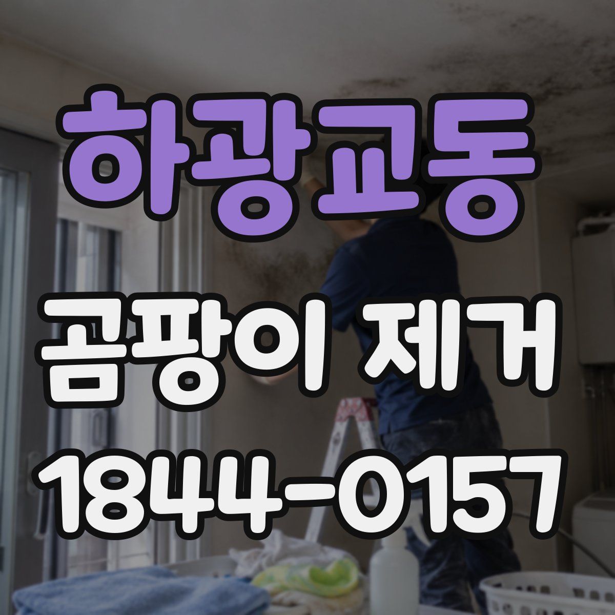 하광교동 곰팡이 제거