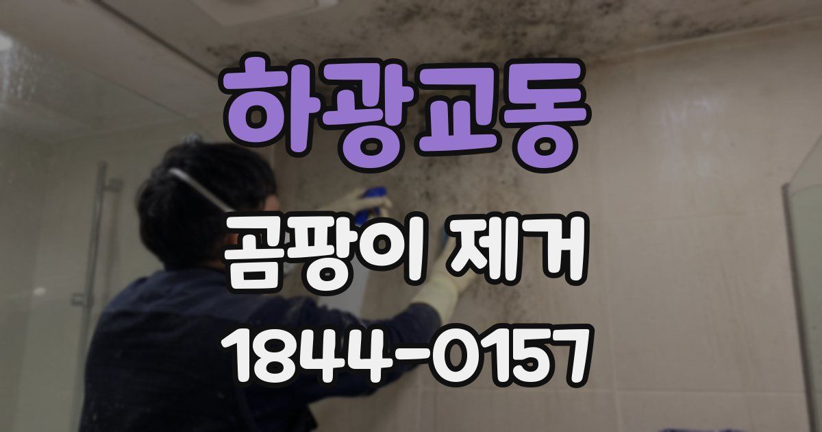 하광교동 곰팡이 제거