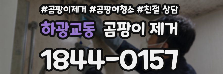 하광교동 곰팡이 제거