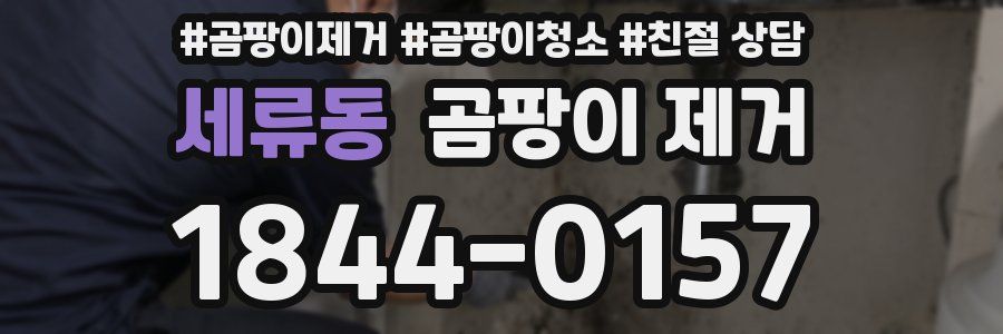세류동 곰팡이 제거