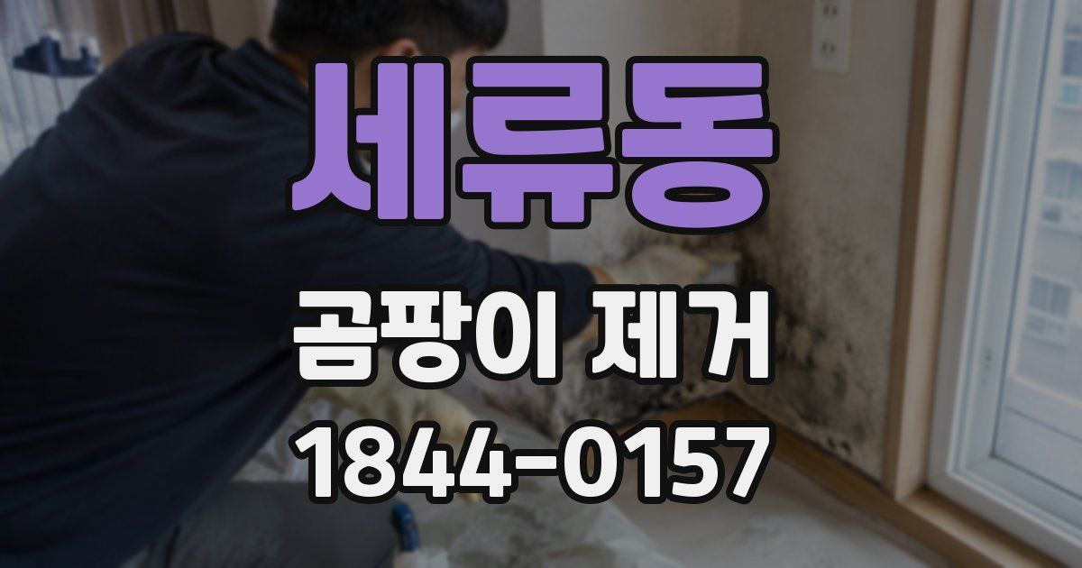 세류동 곰팡이 제거