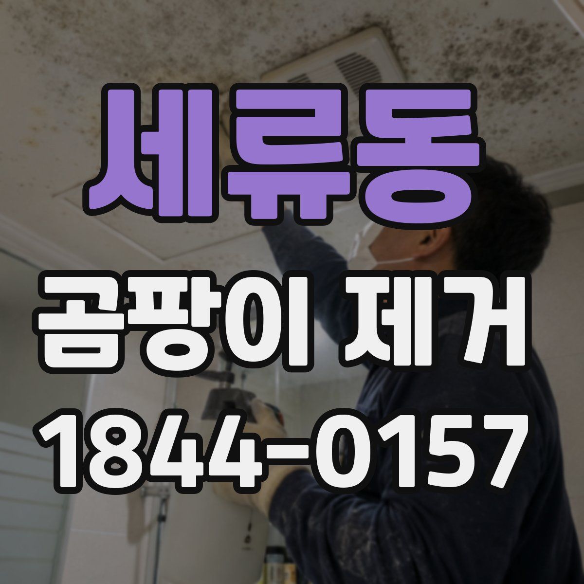세류동 곰팡이 제거
