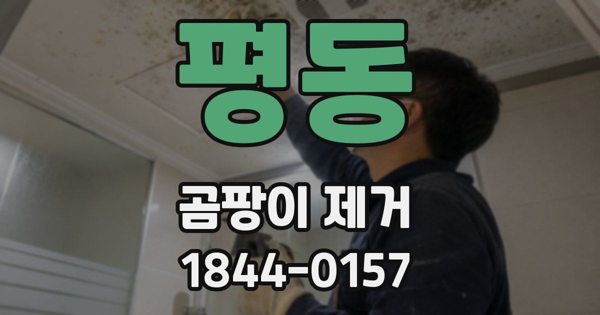 평동 곰팡이 제거