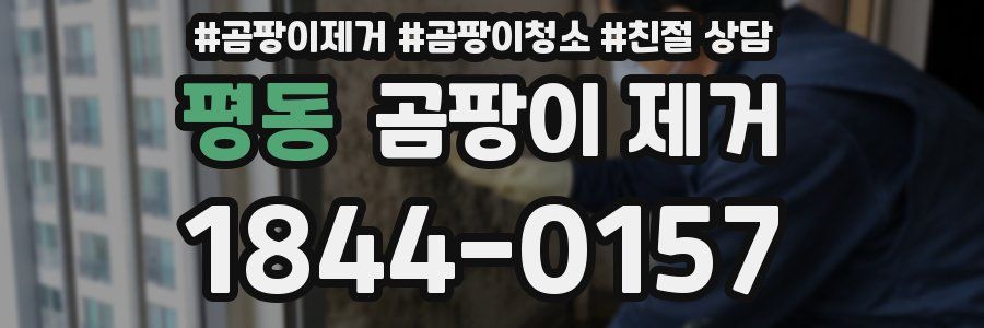 평동 곰팡이 제거