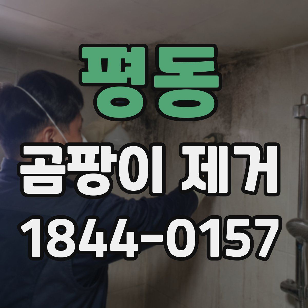 평동 곰팡이 제거