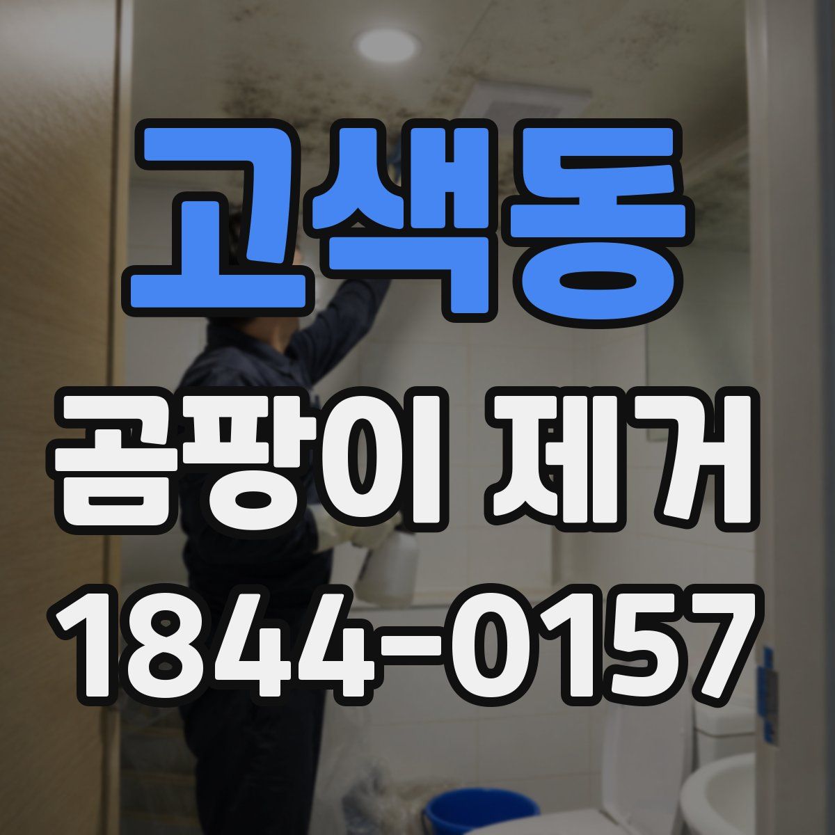 고색동 곰팡이 제거