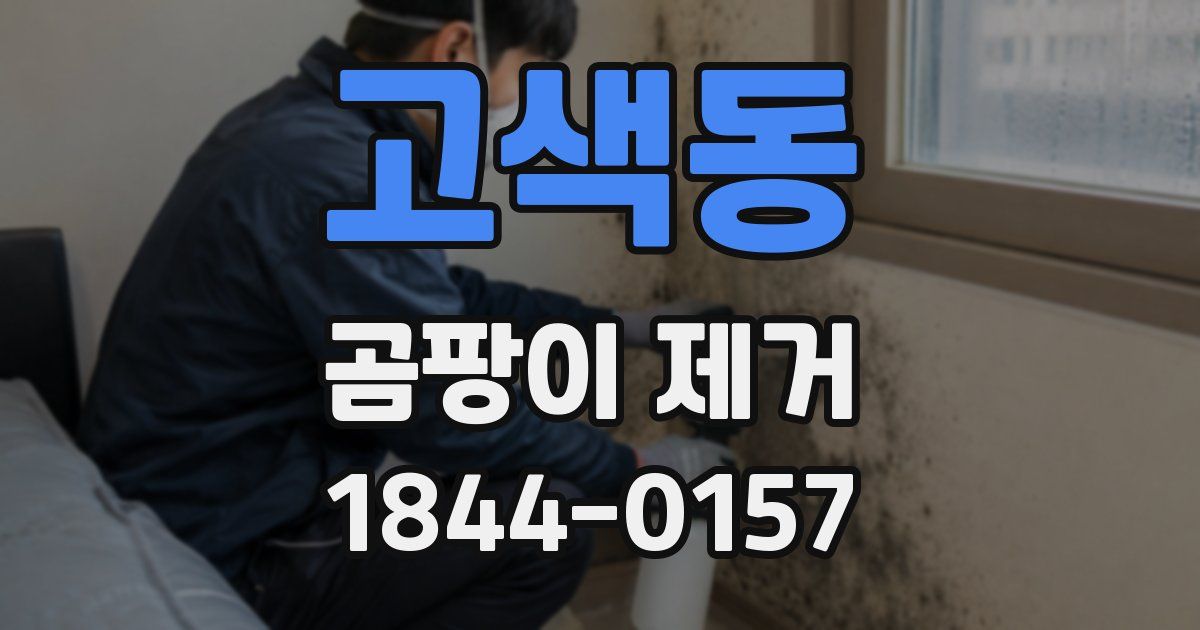 고색동 곰팡이 제거